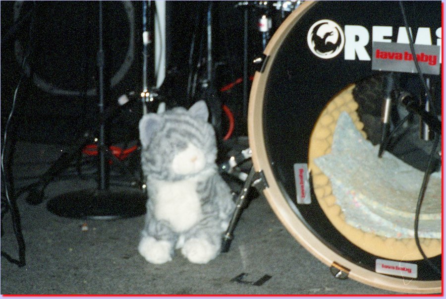 2001-08-01DAVE_DAVIES06KATE_THE_KAT.jpg