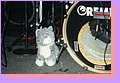 2001-08-01DAVE_DAVIES06KATE_THE_KAT.jpg