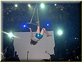 6-IMG_1240.JPG