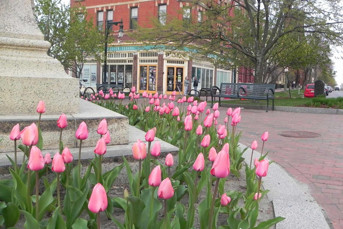 DSCN1488.jpg