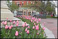 DSCN1488.jpg