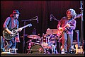 IMG_4575.JPG