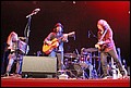 IMG_4616.JPG