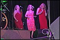 IMG_9389.JPG