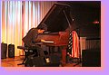 IMG_1018.JPG
