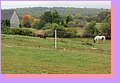 IMG_6711.JPG