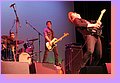 IMG_8478.JPG