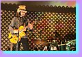 IMG_3201.JPG