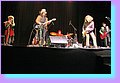 IMG_3752.jpg