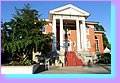 IMG_4672.JPG