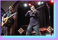 IMG_5890.jpg