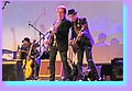 IMG_6442.jpg