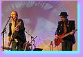 IMG_6451.jpg