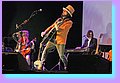 IMG_6460.jpg