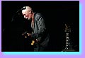 IMG_6965.JPG