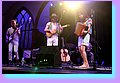 IMG_7302.JPG