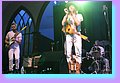 IMG_7314.JPG