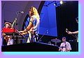 IMG_7341.JPG