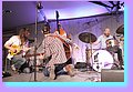 IMG_7686.jpg