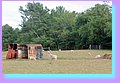IMG_8140.JPG