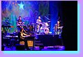 DSC02722.JPG