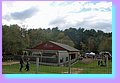 IMG_8978.jpg