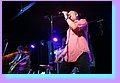 IMG_1217.jpg