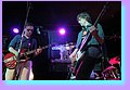 IMG_1304.jpg