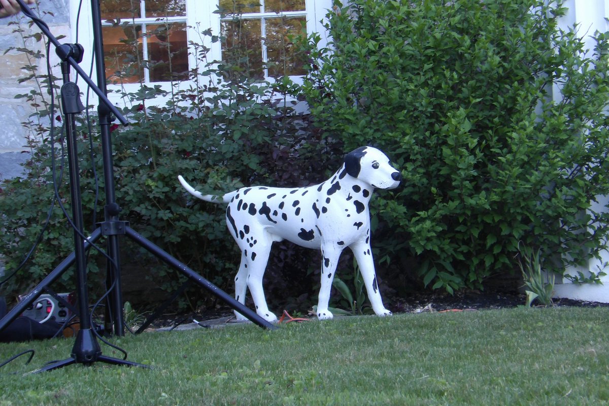 100_5602.JPG