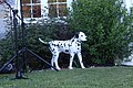 100_5602.JPG