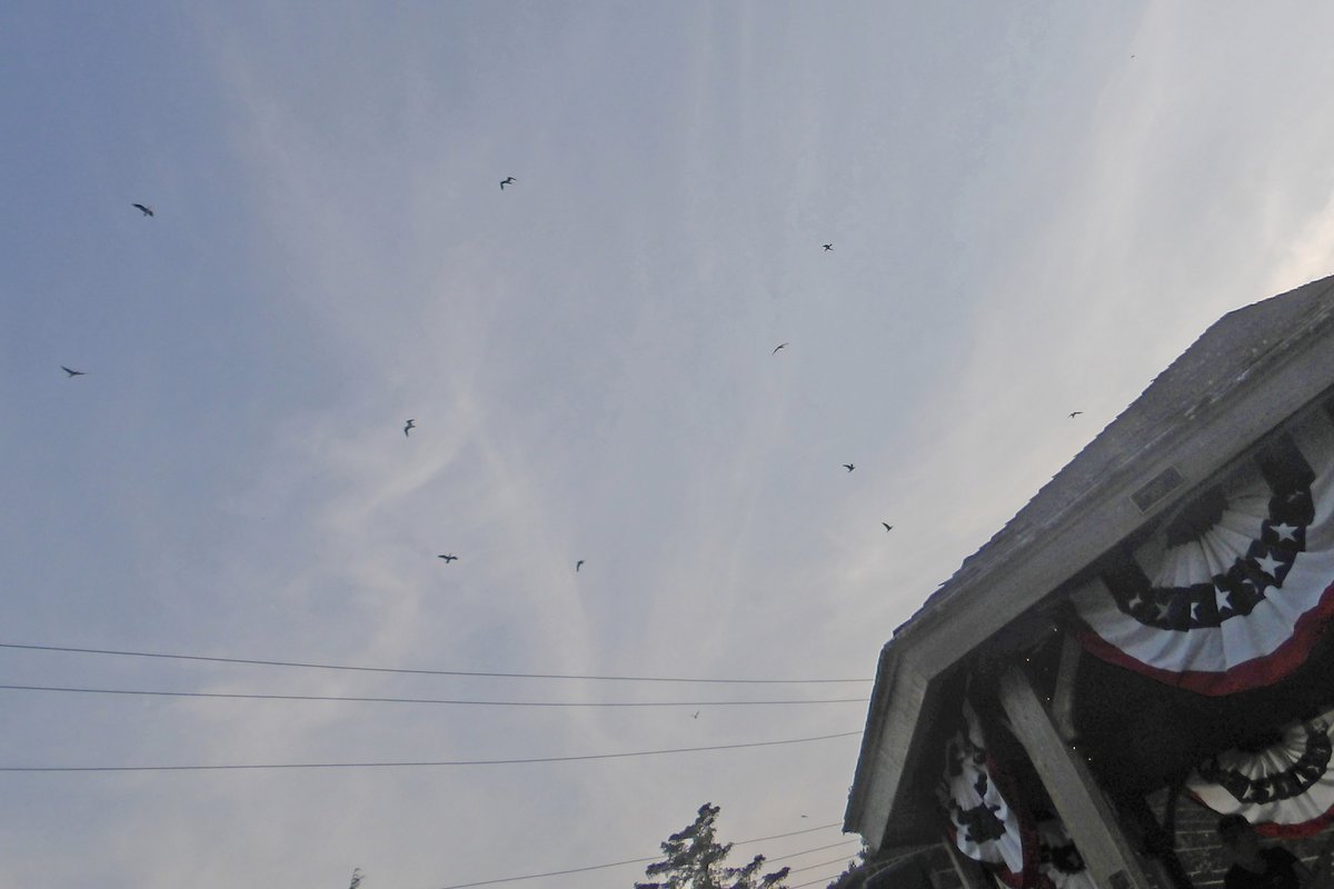 100_0163.JPG