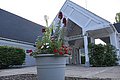 IMG_8864.JPG