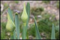 IMG_0886.jpg