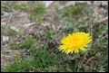 IMG_0887.jpg
