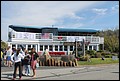 IMG_6926.JPG