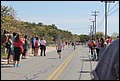 IMG_7008.JPG