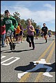 IMG_7018.JPG
