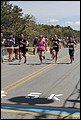 IMG_7177.JPG