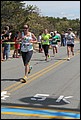 IMG_7281.JPG