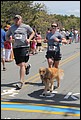 IMG_7331.JPG