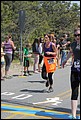 IMG_7353.JPG
