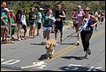 IMG_7363.JPG