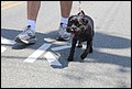 IMG_7595.JPG